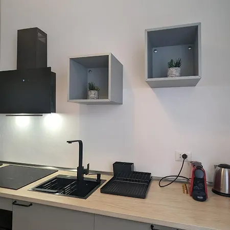 Apartament Big House-private Parking-12